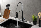 Gourmetier LS8777DL Concord Single-Handle Pre-Rinse Kitchen Faucet, Matte Black/Polished Chrome