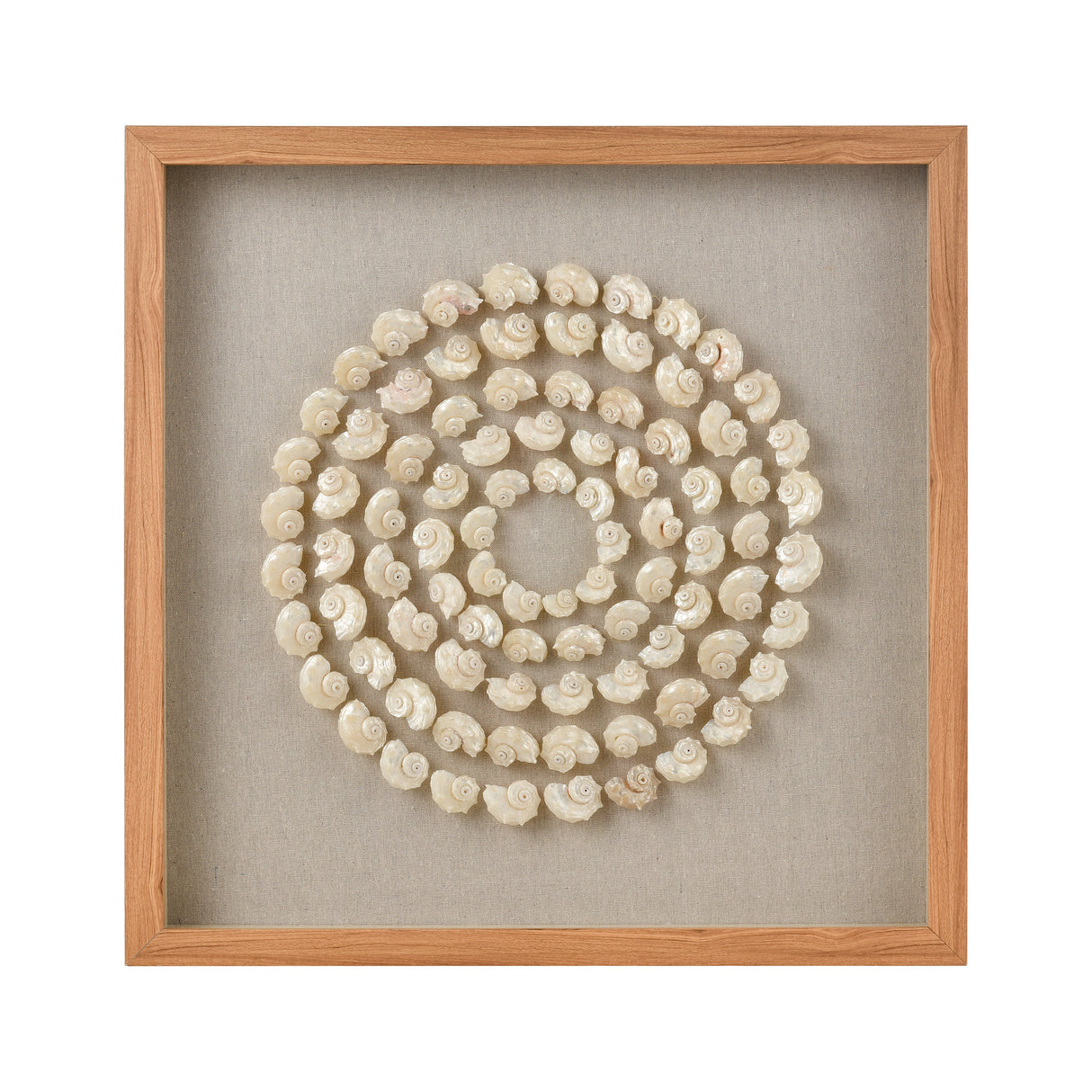 Elk S0036-11263 Concentric Shell Dimensional Wall Art