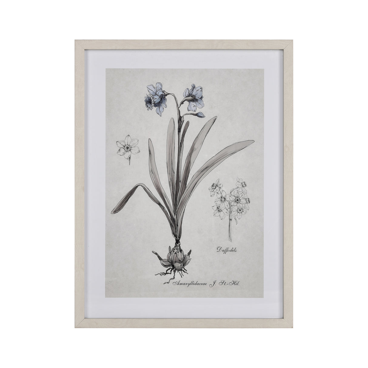 Elk S0056-10634 Daffodil Botanic Framed Wall Art