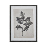 Elk S0056-10635 Oak I Botanic Framed Wall Art