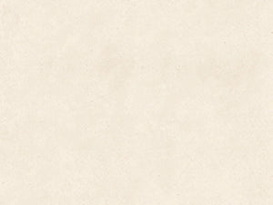 Anatolia Tile 24X24 Limestone Honed Serene Ivory Stone Tile 74-501  - premium natural stone mosaic tile from Anatolia Tile, available at PoshHaus showroom in Keene, NH