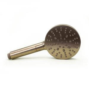 Modern Round Handshower in Brushed Gold