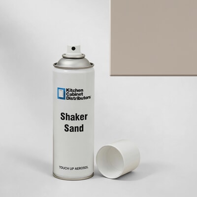 Shaker Sand Spray Can