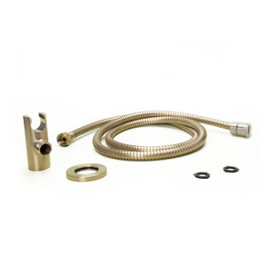 Modern Round 2-Piece Handheld Shower Kit with 60 in. Hose in Brushed Gold