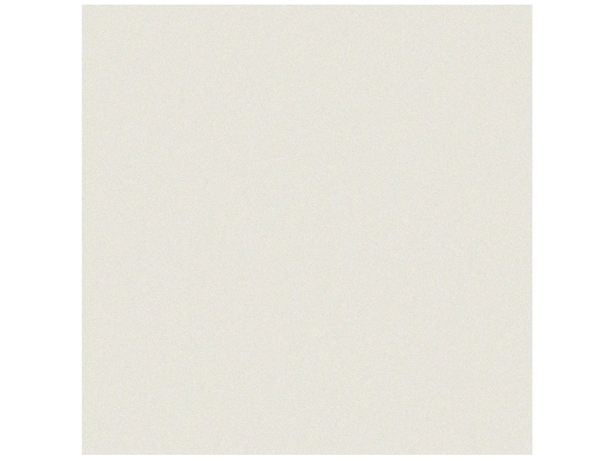 Anatolia Tile 12X12 Prima White Rectified Matte 4500-0588-1 Warm White 12x12 - premium natural stone mosaic tile from Anatolia Tile, available at PoshHaus showroom in Keene, NH