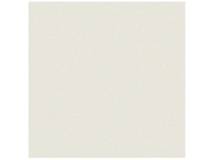 Anatolia Tile 12X12 Prima White Rectified Matte 4500-0588-1 Warm White 12x12 - premium natural stone mosaic tile from Anatolia Tile, available at PoshHaus showroom in Keene, NH