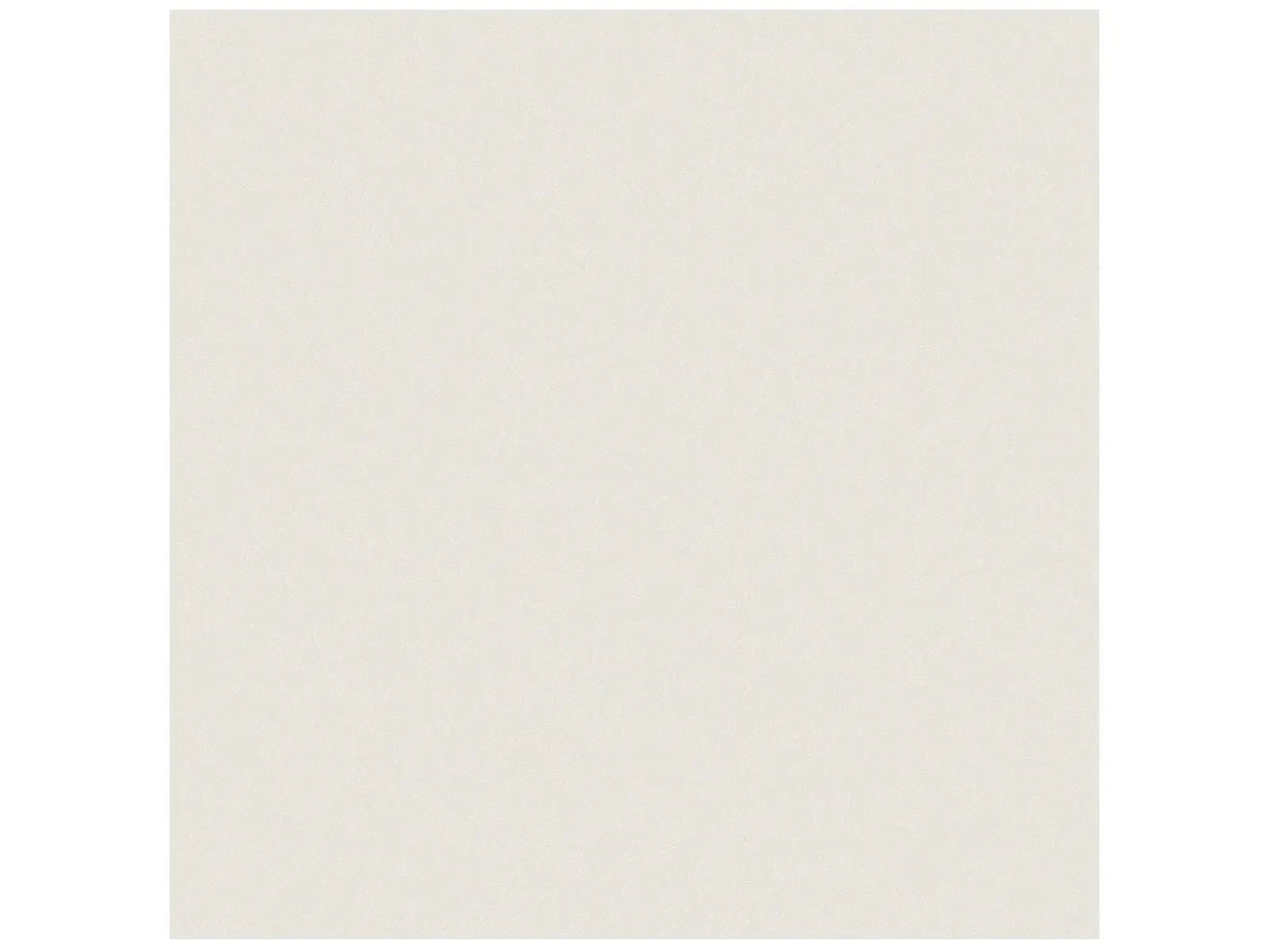 Anatolia Tile 24X24 Prima Warm White Matte Rectified Porcelain 4500-0591-1 Warm White 24x24 - premium natural stone mosaic tile from Anatolia Tile, available at PoshHaus showroom in Keene, NH