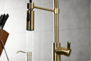 Gourmetier LS8773CTL Continental Single-Handle Pre-Rinse Kitchen Faucet, Brushed Brass