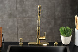 Gourmetier LS8773CTL Continental Single-Handle Pre-Rinse Kitchen Faucet, Brushed Brass