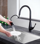 ANZZI KF-AZ217ORB Meadow Single-Handle Pull-Out Sprayer Kitchen Faucet in Oil Rubbed Bronze