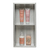 ALFI brand 12 x 24 Brushed Stainless Steel Vertical Double Shelf Bath Shower Niche