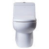 EAGO TB351 DUAL FLUSH ONE PIECE ECO-FRIENDLY HIGH EFFICIENCY LOW FLUSH CERAMIC TOILET