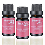 SteamSpa Essence of Peppermint Aromatherapy Oil Extract Value Pack G-OILPEP3