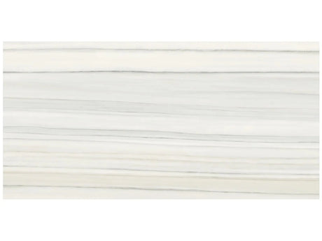Anatolia Tile 24X48 Mayfair Zebrino Polished Rectified Porcelain 4500-0419-1 ** ** Zebrino 24x48" - premium natural stone mosaic tile from Anatolia Tile, available at PoshHaus showroom in Keene, NH