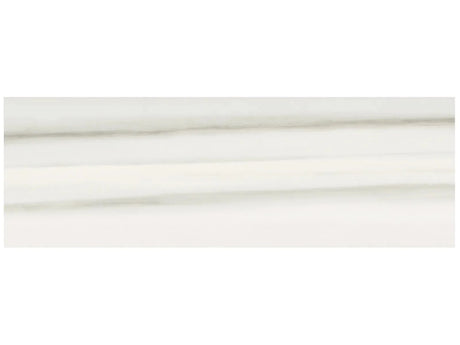 Anatolia Tile 4X12 Mayfair Zebrino Polished Rectified Porcelain 4500-0416-1 Zebrino 4x12 - premium natural stone mosaic tile from Anatolia Tile, available at PoshHaus showroom in Keene, NH