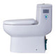 EAGO TB351 DUAL FLUSH ONE PIECE ECO-FRIENDLY HIGH EFFICIENCY LOW FLUSH CERAMIC TOILET