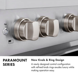ZLINE 30 in. 4.2 cu. ft. Paramount Gas Range with 4 Burner Cooktop and Convection Gas Oven in Stainless Steel (SGR30)