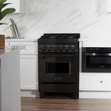 ZLINE 24 in. Professional Dual Fuel Range in Black Stainless Steel with Brass Burners (RAB-BR-24)