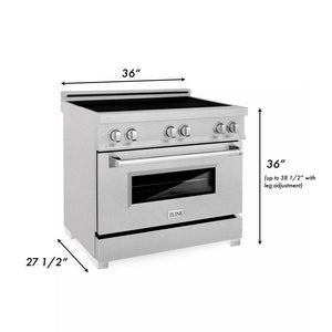 ZLINE 36 in. 4.6 cu. ft. Legacy Induction Range with 5 Element Cooktop and Electric Oven in DuraSnow® Stainless Steel (RAINDS-SN-36)