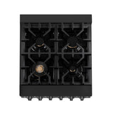 ZLINE 24 in. Professional Dual Fuel Range in Black Stainless Steel with Brass Burners (RAB-BR-24)