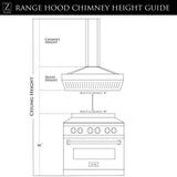 ZLINE Convertible Vent Island Mount Range Hood in Stainless Steel and Glass (GL14i)