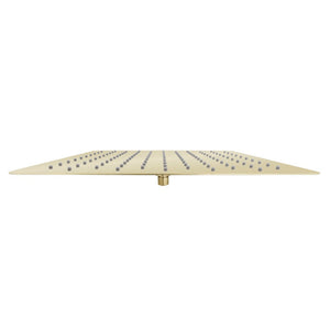 ZLINE Bliss 16 in. Rainfall Shower Head in Polished Gold (BLS-H16-PG)