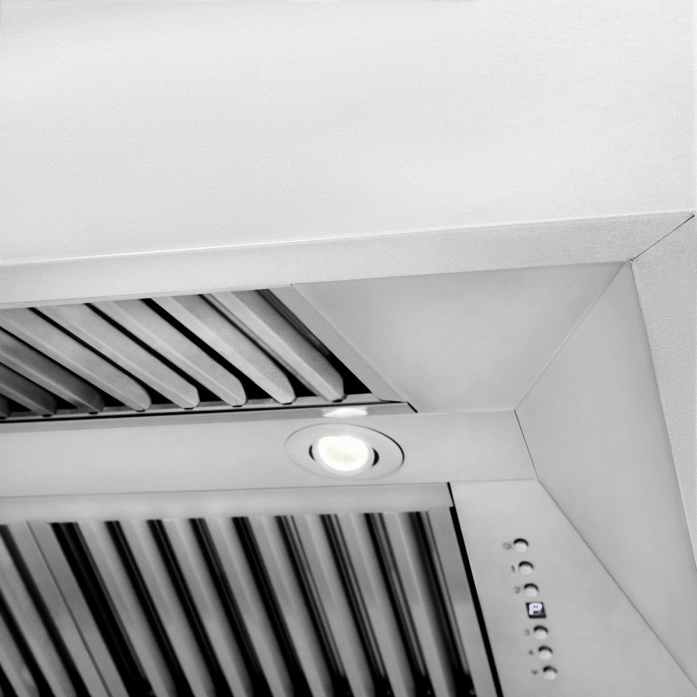ZLINE 48 in. Kitchen Package with DuraSnow® Stainless Dual Fuel Range, Ducted Vent Range Hood and Tall Tub Dishwasher (3KP-RASRH48-DWV)