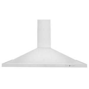 ZLINE Kitchen Package with 48 in. Stainless Steel Rangetop and 48 in. Convertible Range Hood (2KP-RTRH48)
