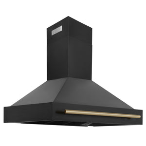 ZLINE Autograph Edition 48 in. Kitchen Package with Black Stainless Steel Dual Fuel Range, Range Hood, Dishwasher and Refrigerator with Champagne Bronze Accents (4AKPR-RABRHDWV48-CB)