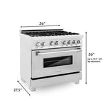 ZLINE 36 in. Kitchen Package with DuraSnow Stainless Steel Dual Fuel Range and Convertible Vent Range Hood (2KP-RASSNRH36)