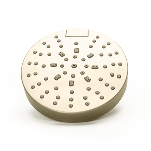 Modern Round Showerhead in Brushed Gold
