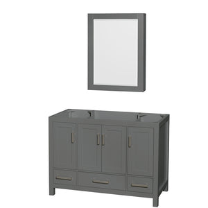 Sheffield 48 Inch Single Bathroom Vanity in Dark Gray No Countertop No Sink and Medicine Cabinet