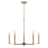 Capital Lighting 448651AD Portman 5 Light Chandelier Aged Brass