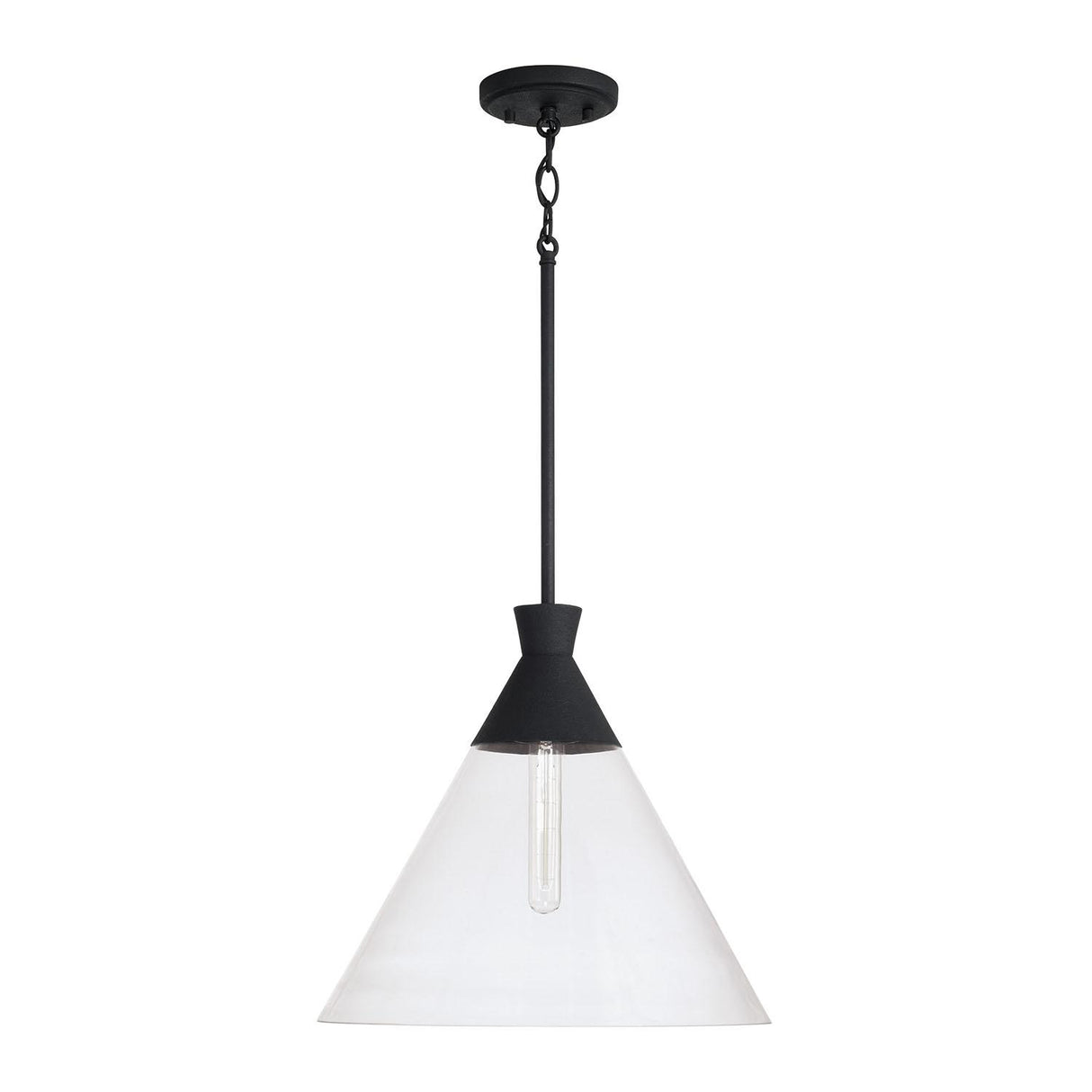 Capital Lighting 350311XK Paloma 1 Light Pendant Textured Black