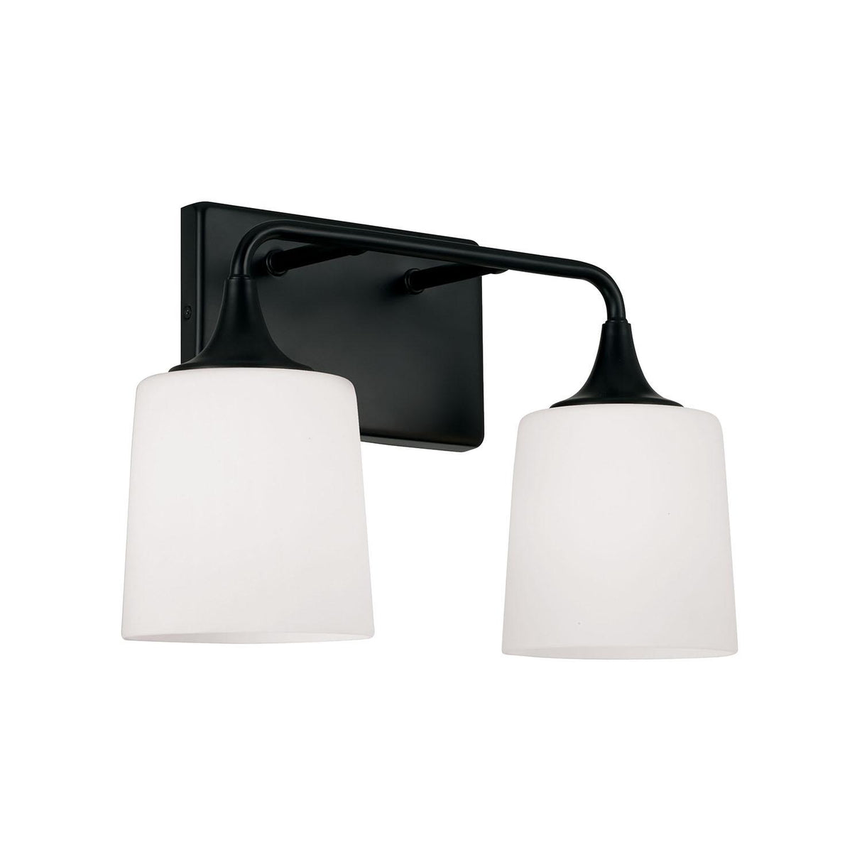 Capital Lighting 148921MB-541 Presley 2 Light Vanity Matte Black