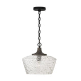 Capital Lighting 347611CK Clive 1 Light Pendant Carbon Grey and Black Iron