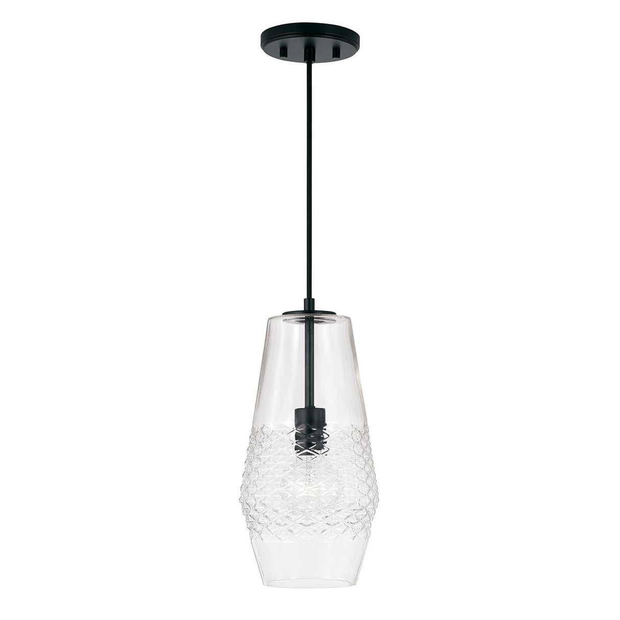 Capital Lighting 345011MB Dena 1 Light Pendant Matte Black
