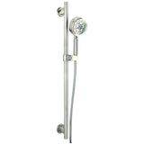 Brushed Nickel Versa 30" Slide Bar Assembly With Parma 5-FUN...