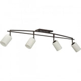 Quoizel Taylor Bronze Track Light